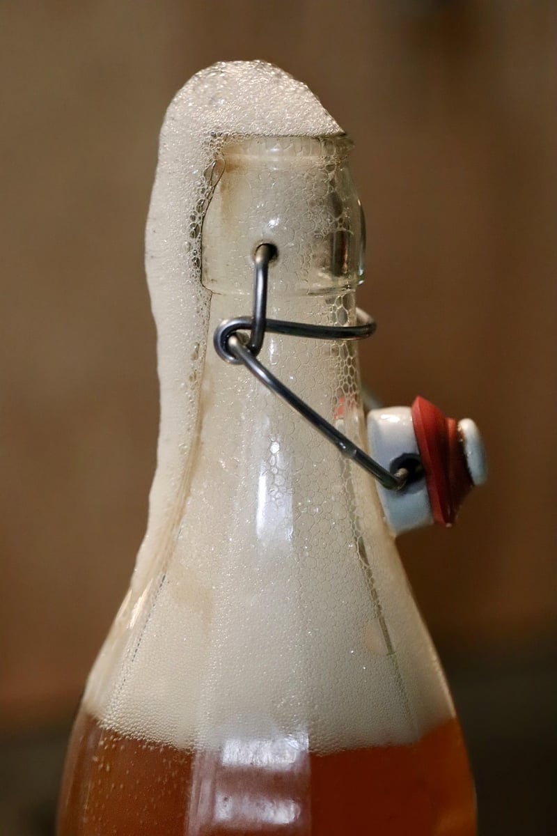 Kombucha Fermentation